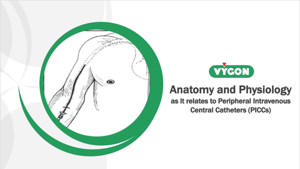 VygonUK - Anatomy & Physiology tcvcs tivads
